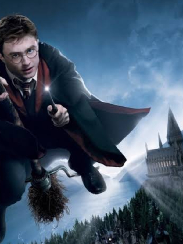 a different harry potter