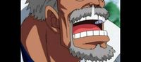 One Piece: Marine Luffy, Garp regrets it